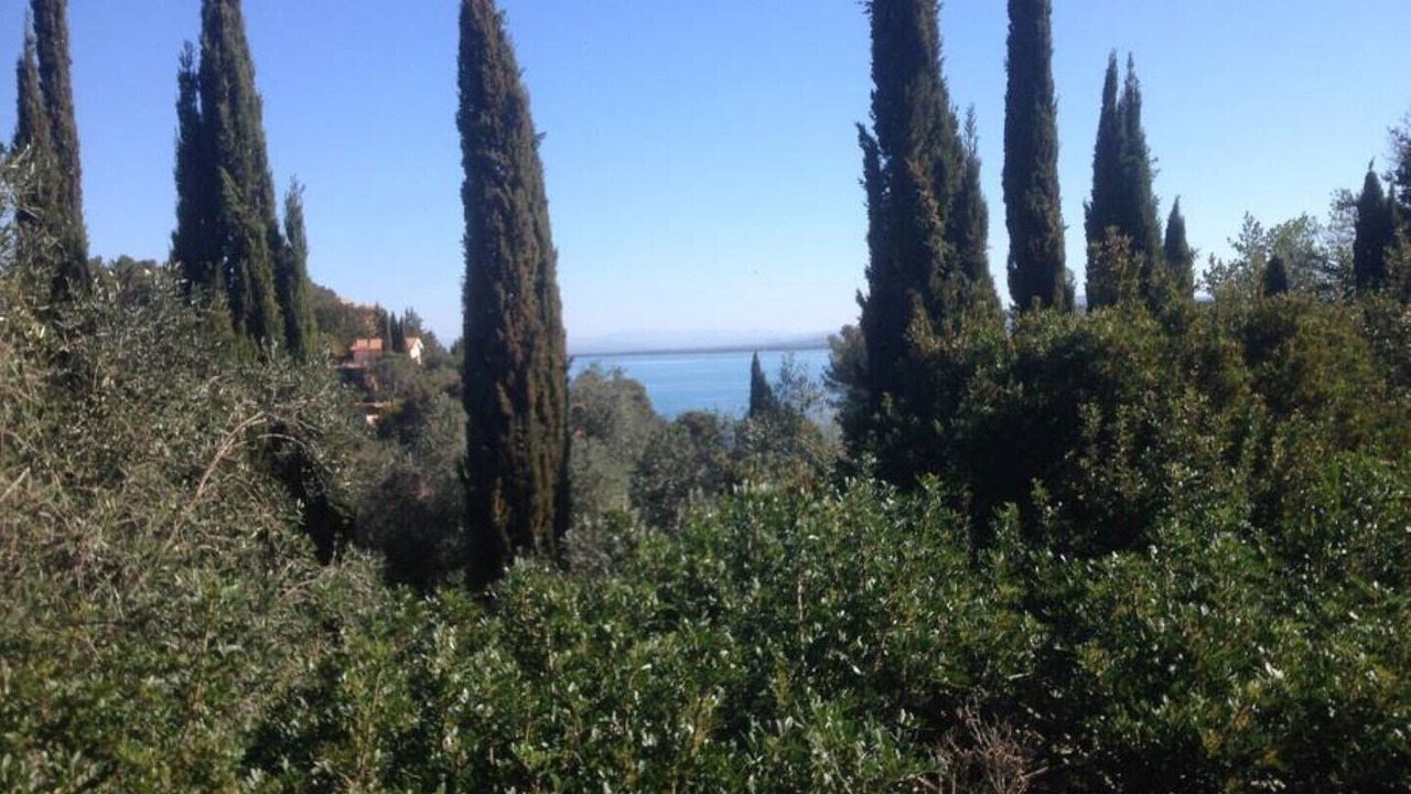Photo of Outdoor in Porto Santo Stefano