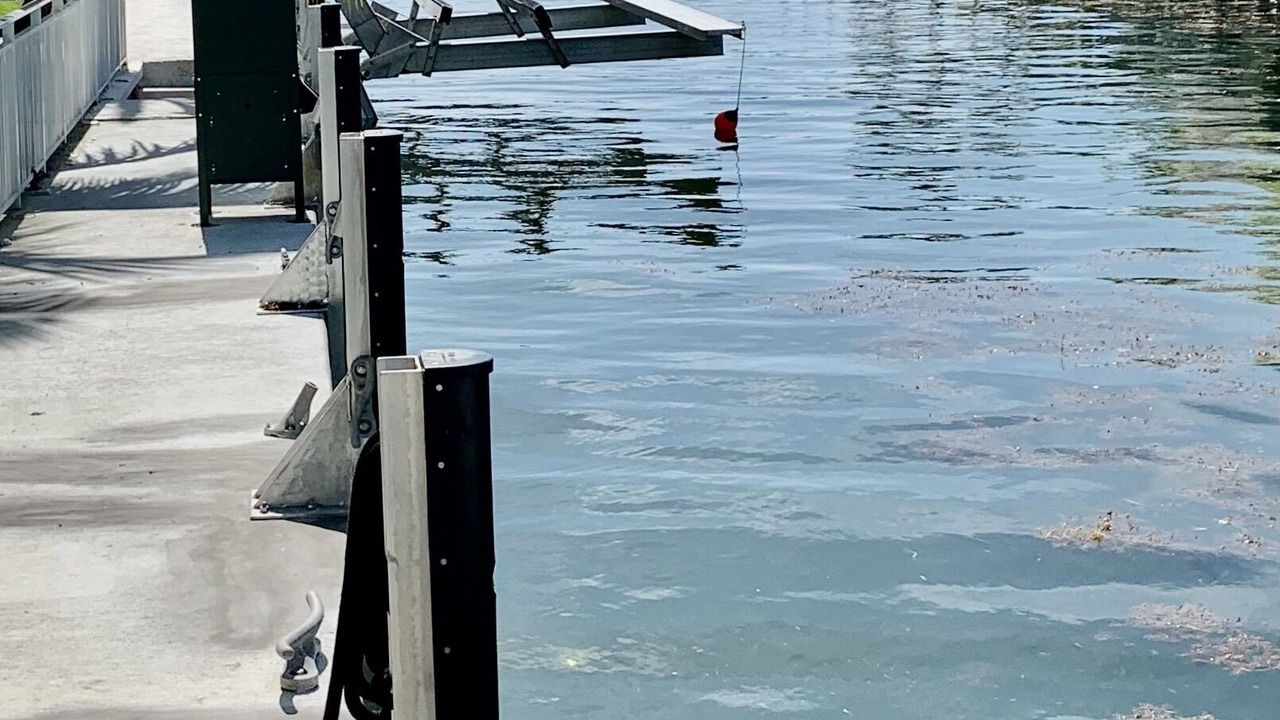 Photo of Outdoor in Tavernier