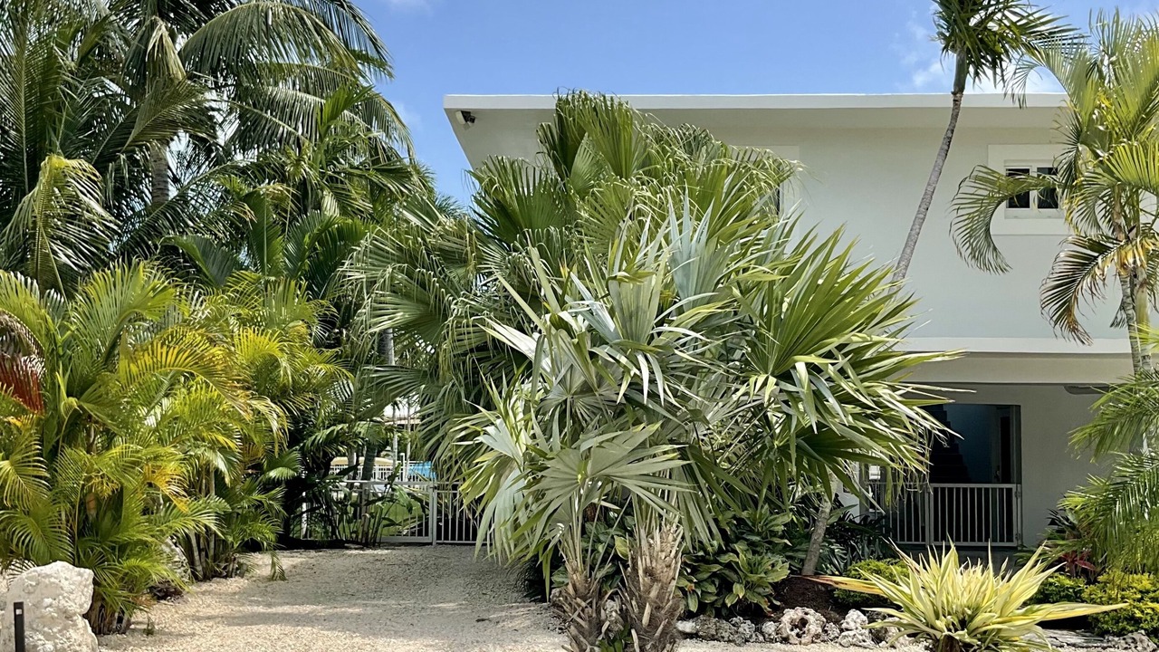 Photo of Outdoor in Tavernier