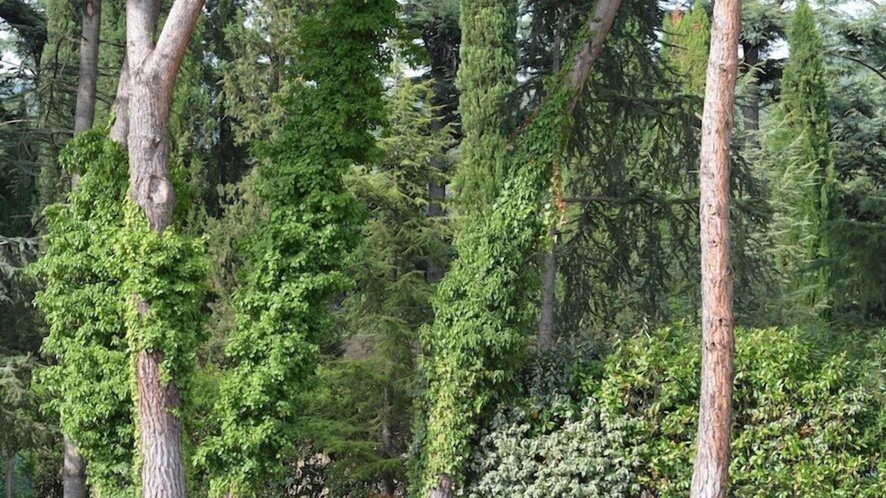 Photo of Outdoor in Cortona