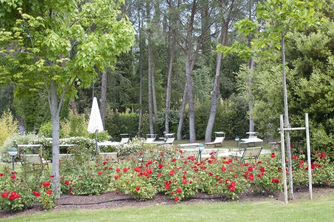 Photo of Outdoor in Cortona