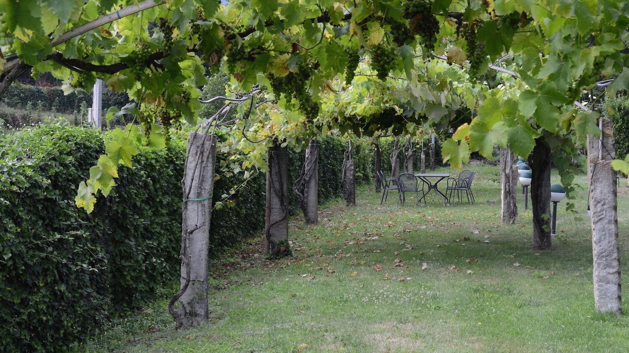 Photo of Outdoor in Cortona