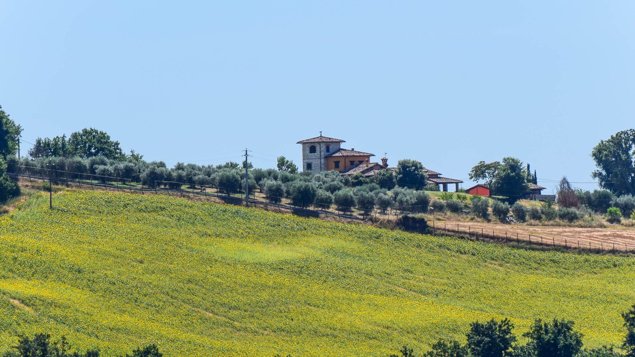 Photo of Others in Montecampano
