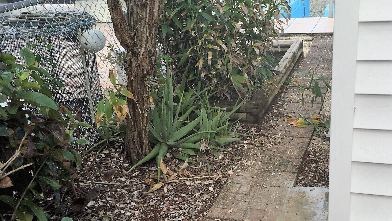 Photo of Outdoor in Tavernier