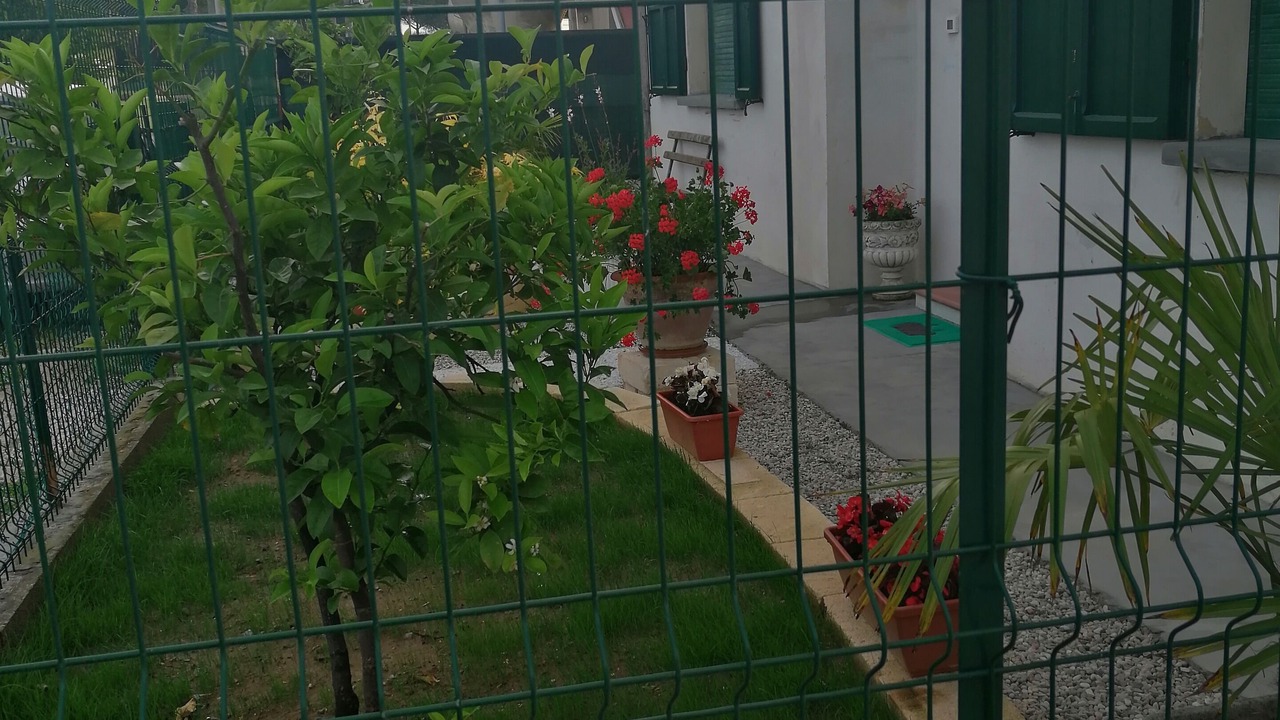 Photo of Outdoor in Savio