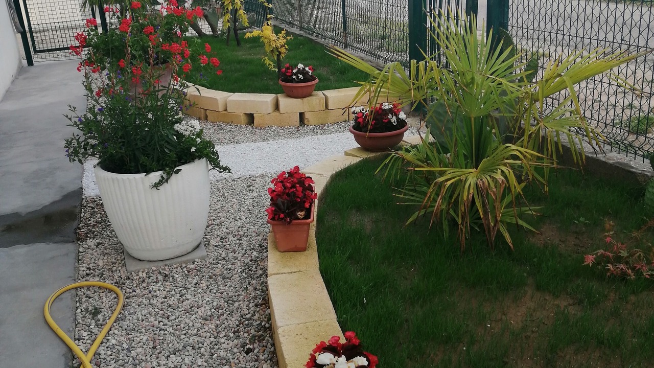 Photo of Outdoor in Savio