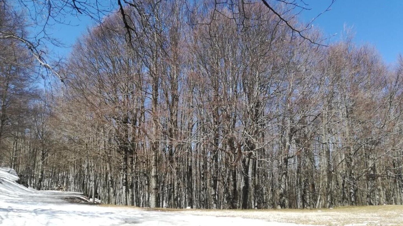Photo of Outdoor in Piglio