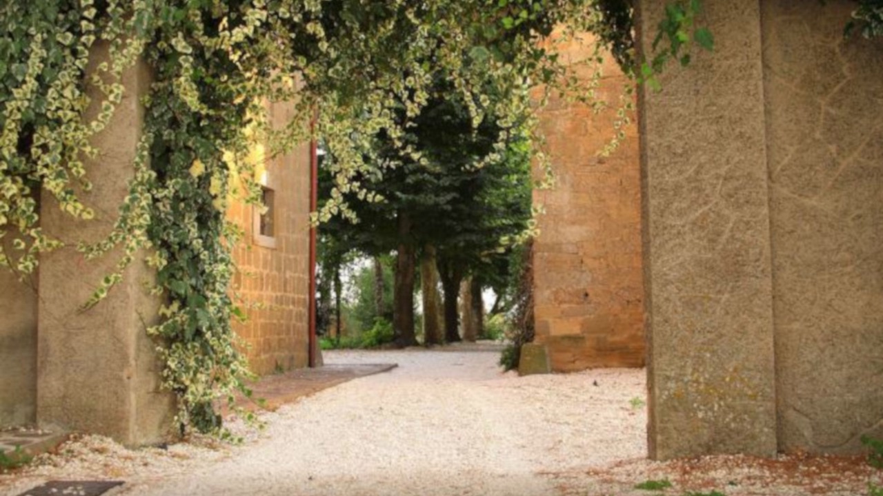Photo of Outdoor in Commenda