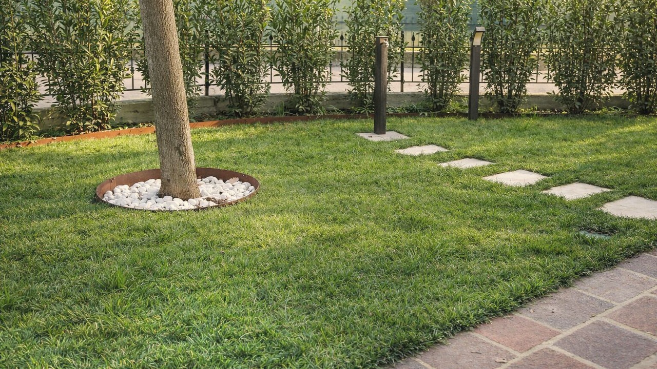 Photo of Outdoor in Montale
