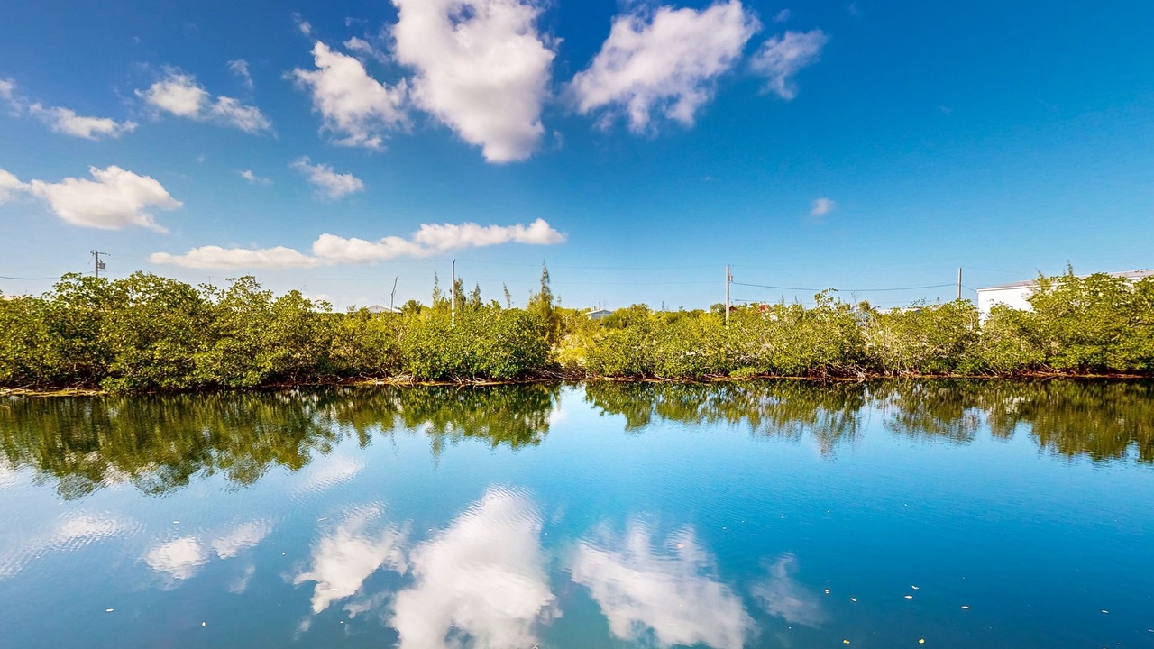 Photo of Others in Big Pine Key
