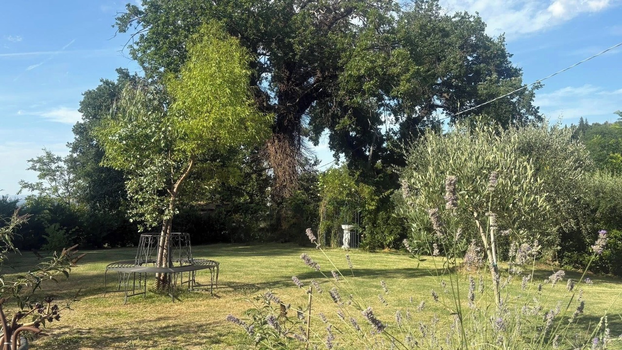 Photo of Outdoor in SantʼAngelo in Pontano