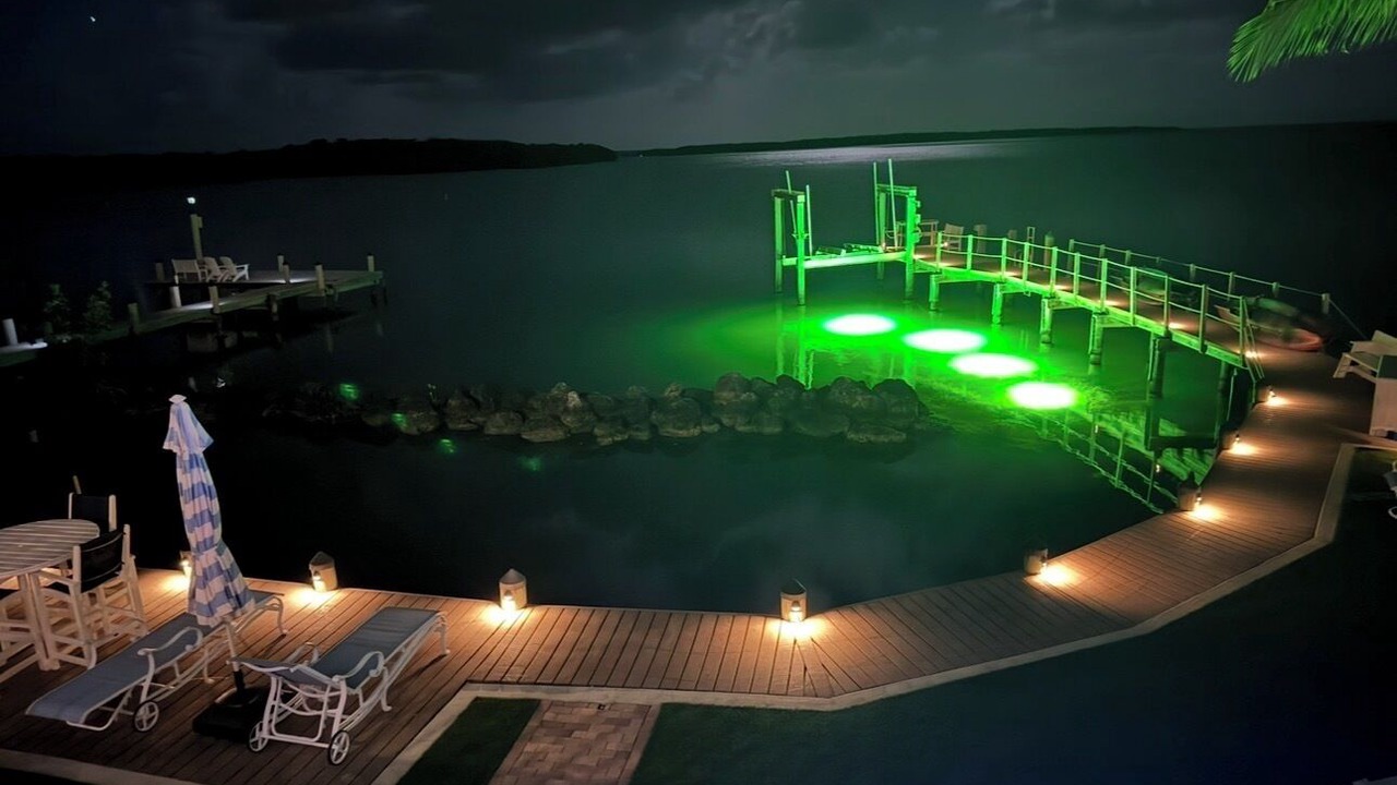 Photo of Outdoor in Tavernier