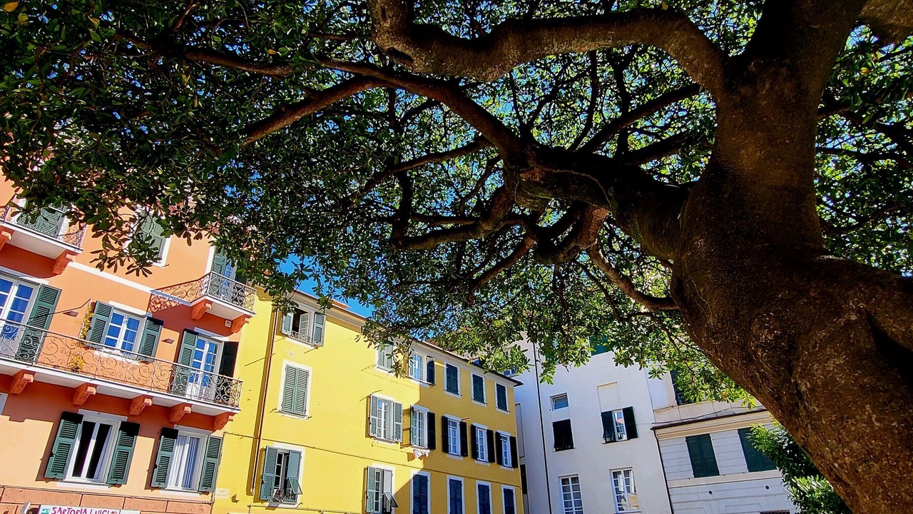 Photo of Outdoor in Chiavari