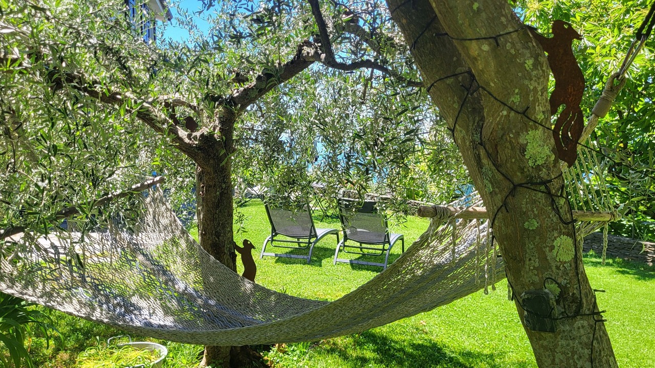 Photo of Outdoor in Cogorno