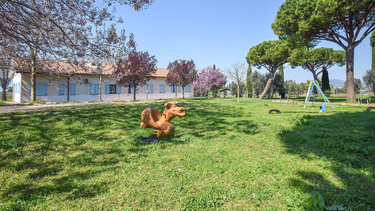 Photo of Others in Pescia Romana