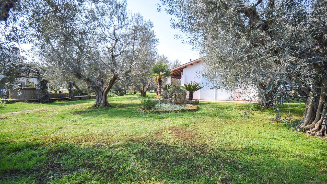 Photo of Others in Pescia Romana