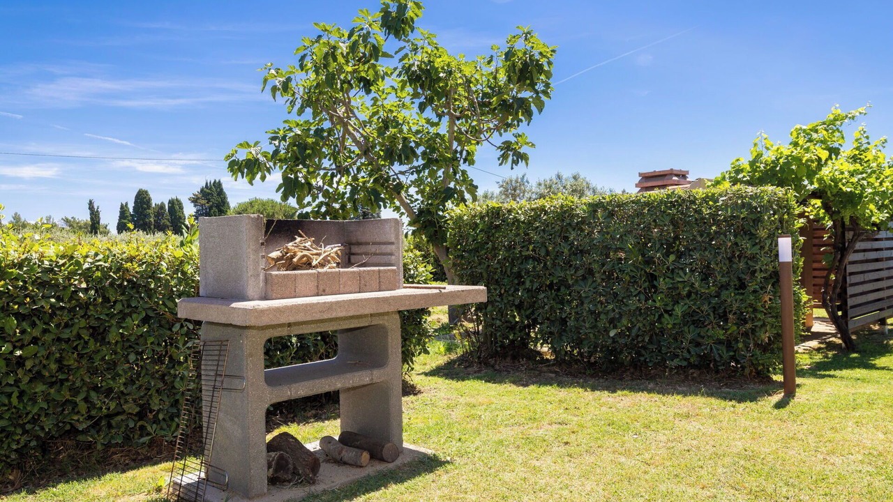 Photo of Outdoor in Cecina