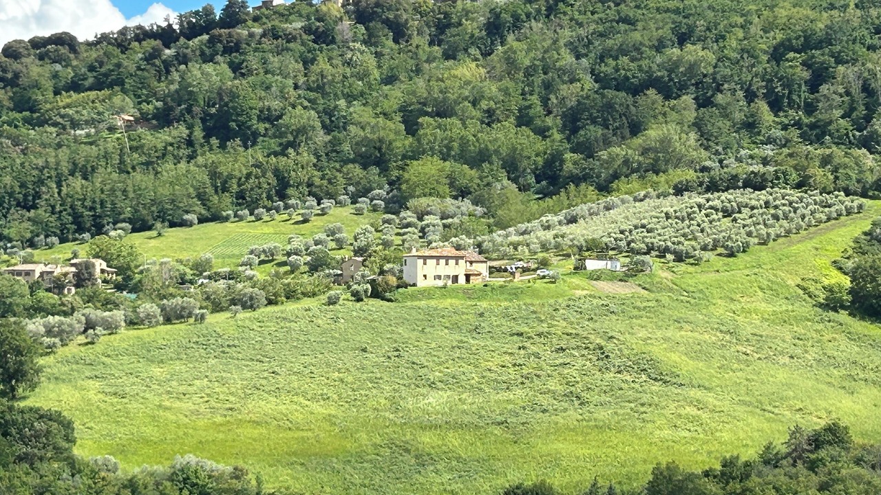 Photo of Others in San Cipriano