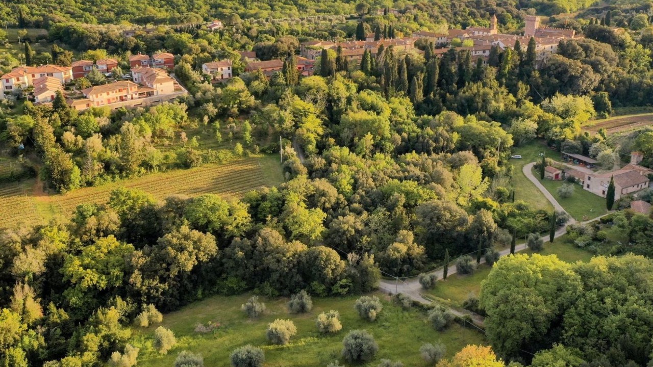 Photo of Others in Bolgheri I