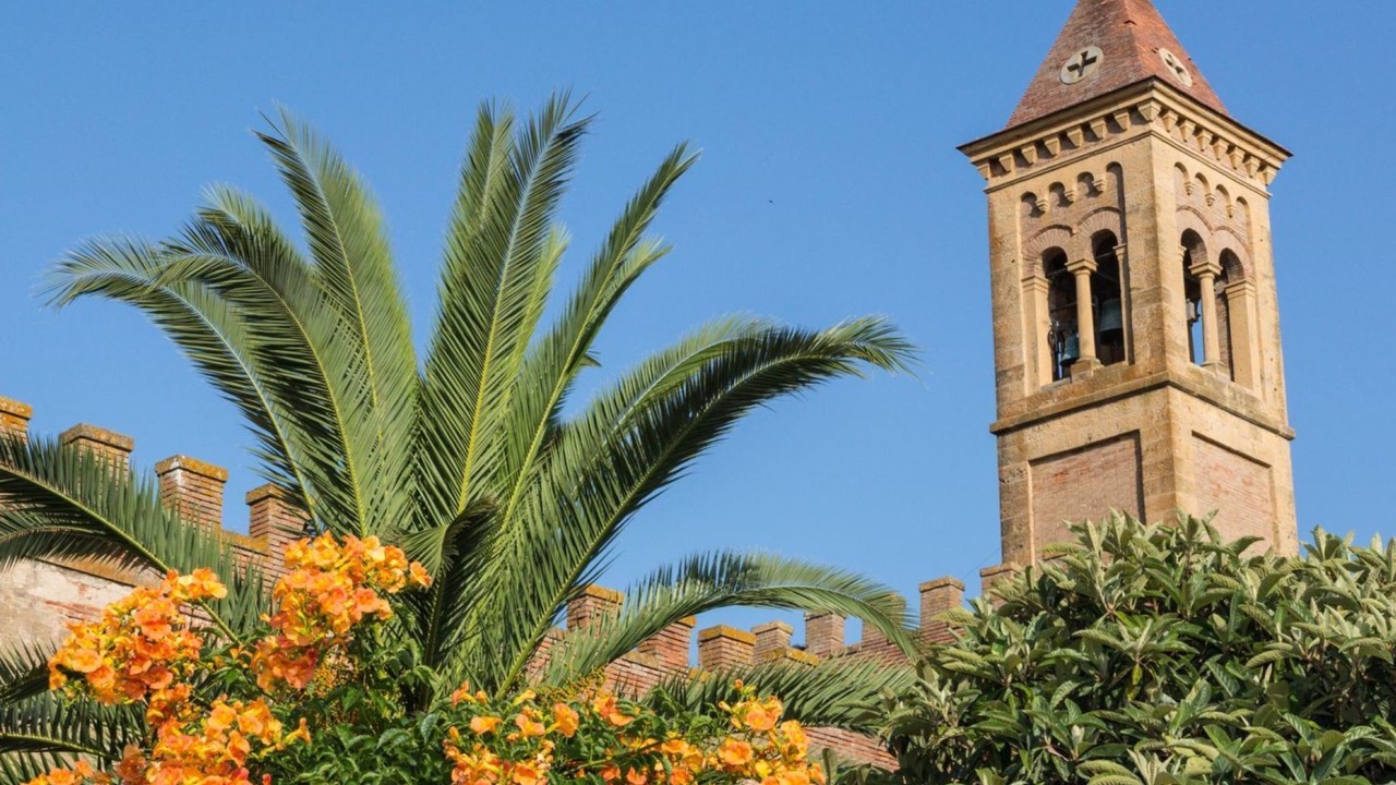 Photo of Others in Bolgheri I