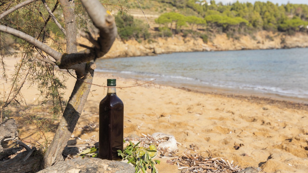 Photo of Others in Marina di Campo