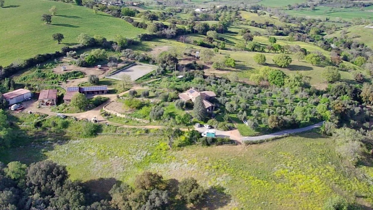 Photo of Outdoor in Grosseto