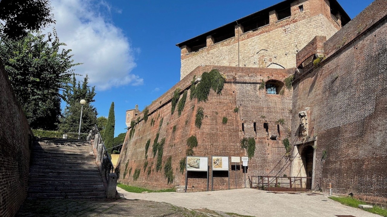 Photo of Others in Grosseto