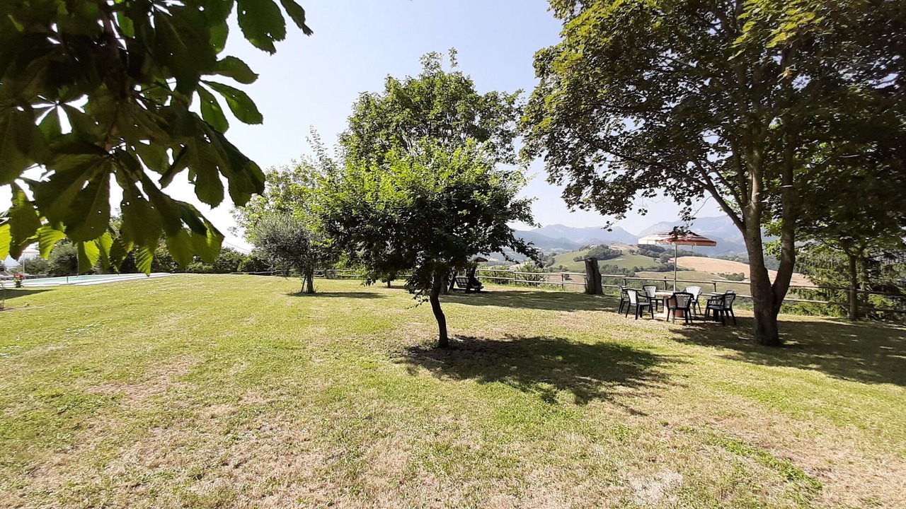 Photo of Outdoor in Pergola