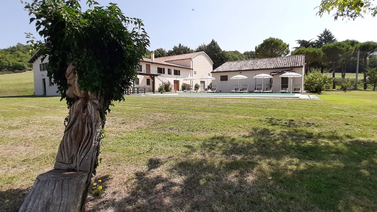 Photo of Outdoor in Pergola