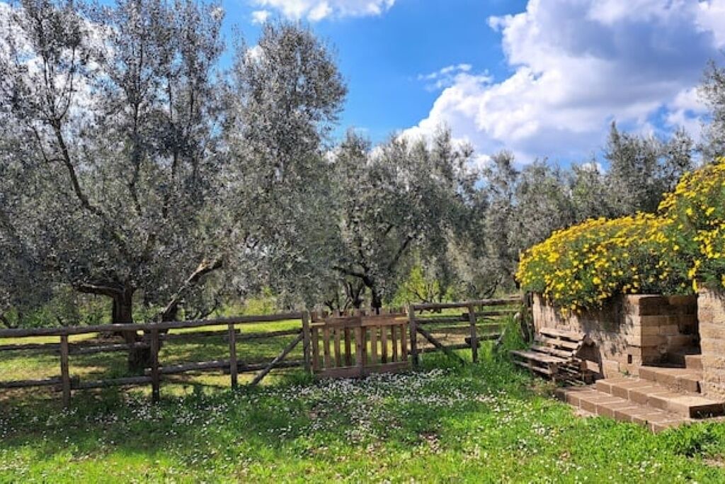 Photo of Outdoor in Formello