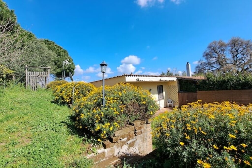 Photo of Outdoor in Formello
