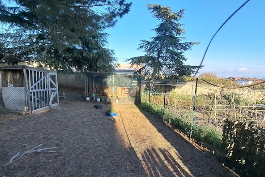 Photo of Outdoor in Formello