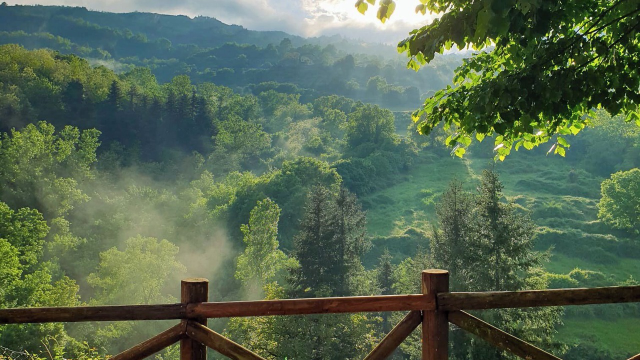 Photo of Others in Castel Focognano