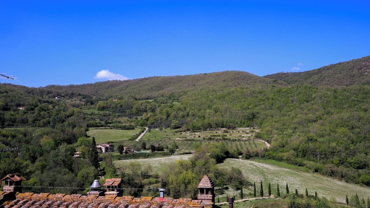 Photo of Others in Castel Focognano