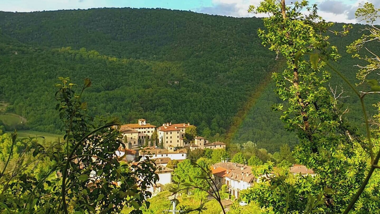 Photo of Others in Castel Focognano