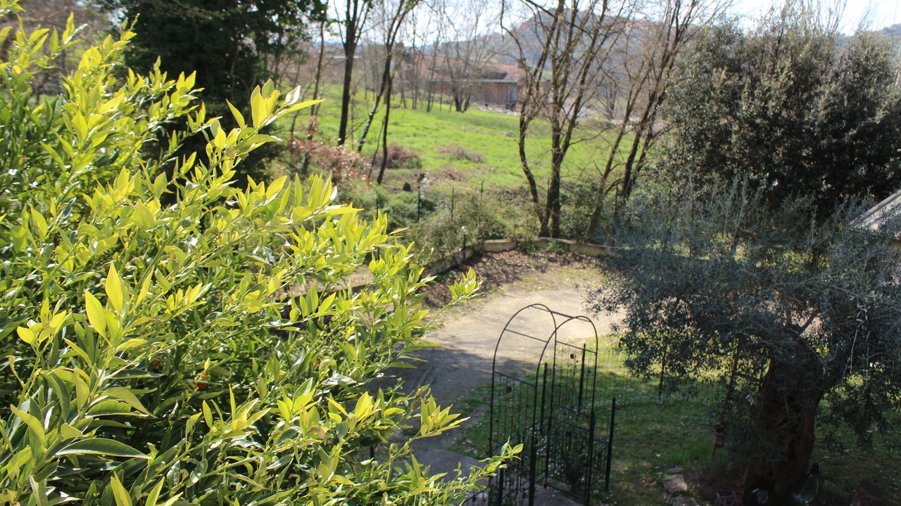 Photo of Outdoor in Boville Ernica