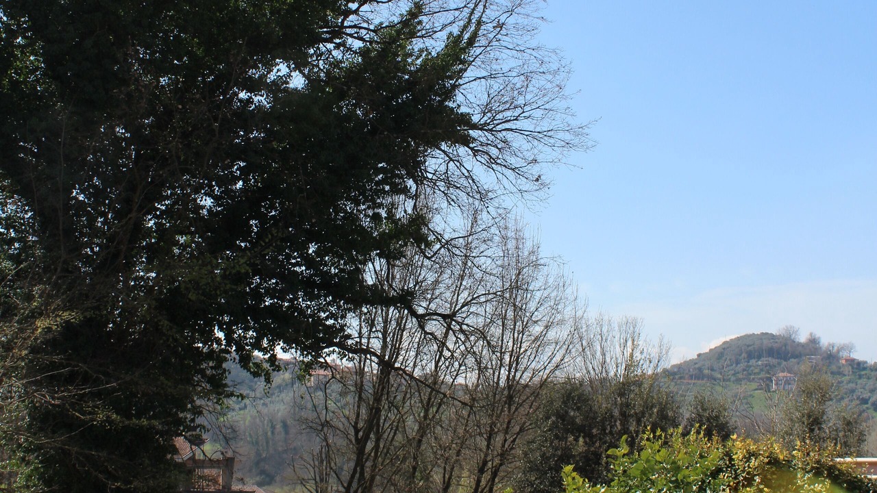 Photo of Others in Boville Ernica