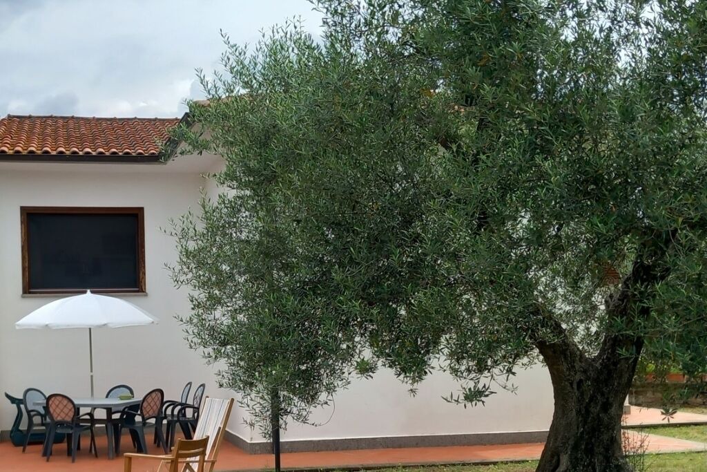 Photo of Outdoor in Vetralla