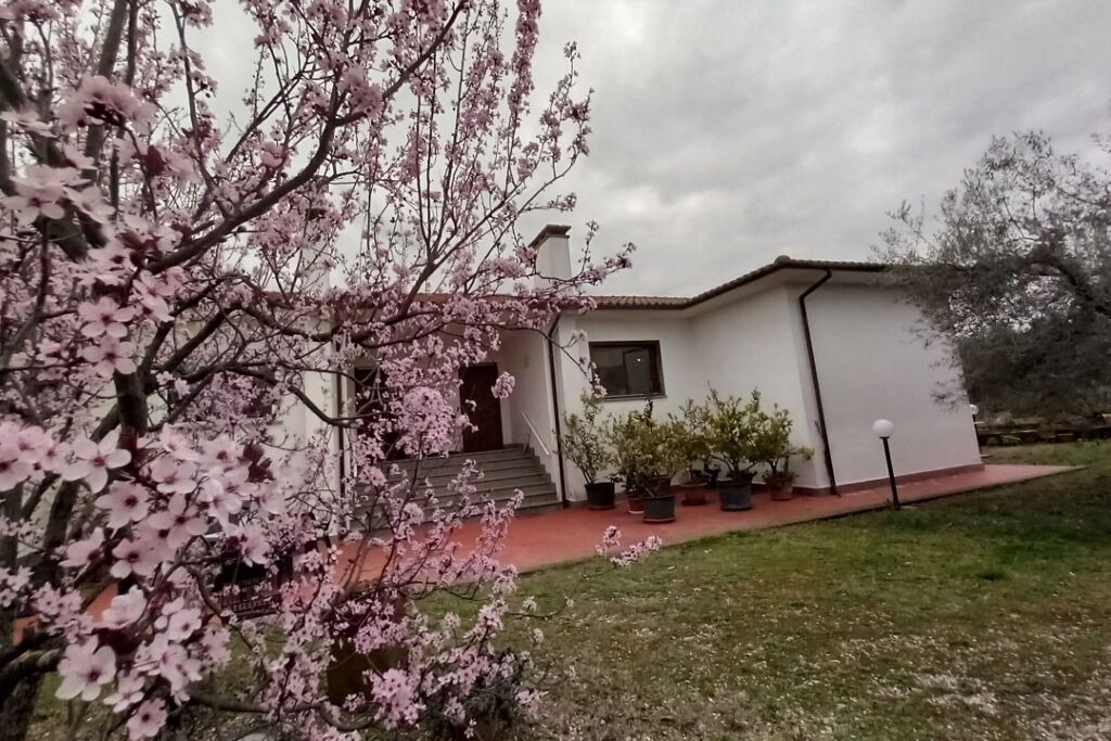 Photo of Outdoor in Vetralla