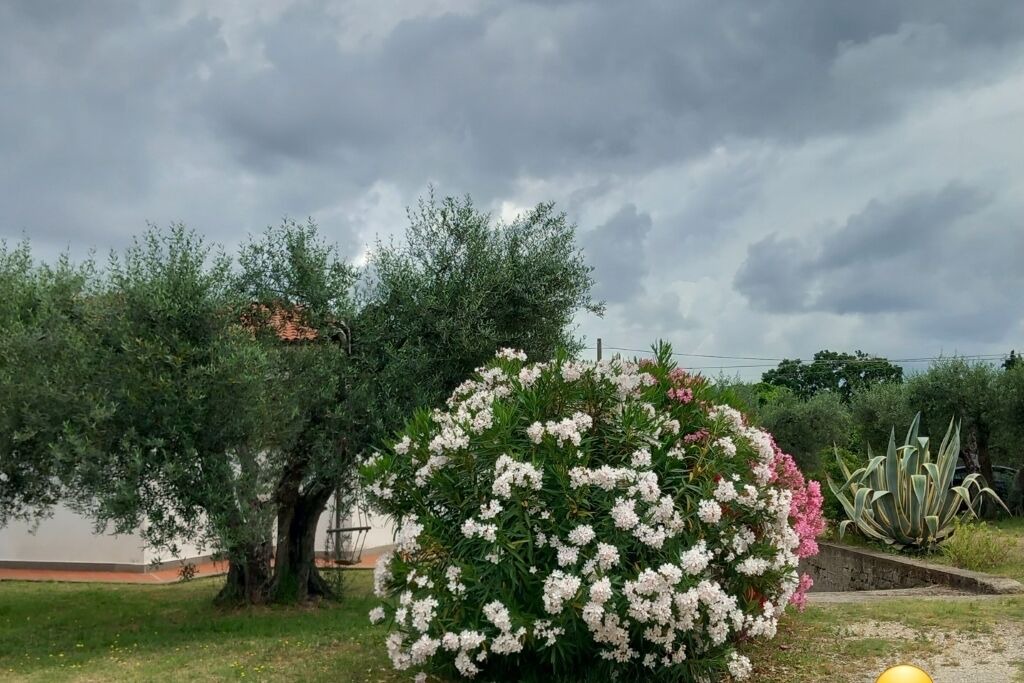 Photo of Outdoor in Vetralla