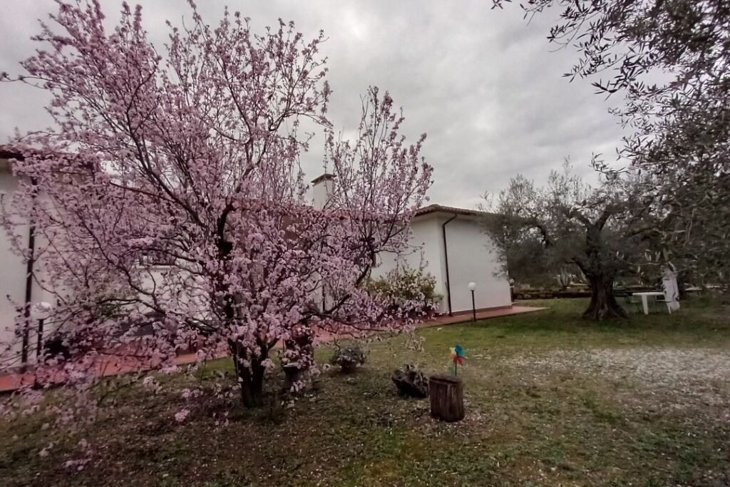 Photo of Outdoor in Vetralla