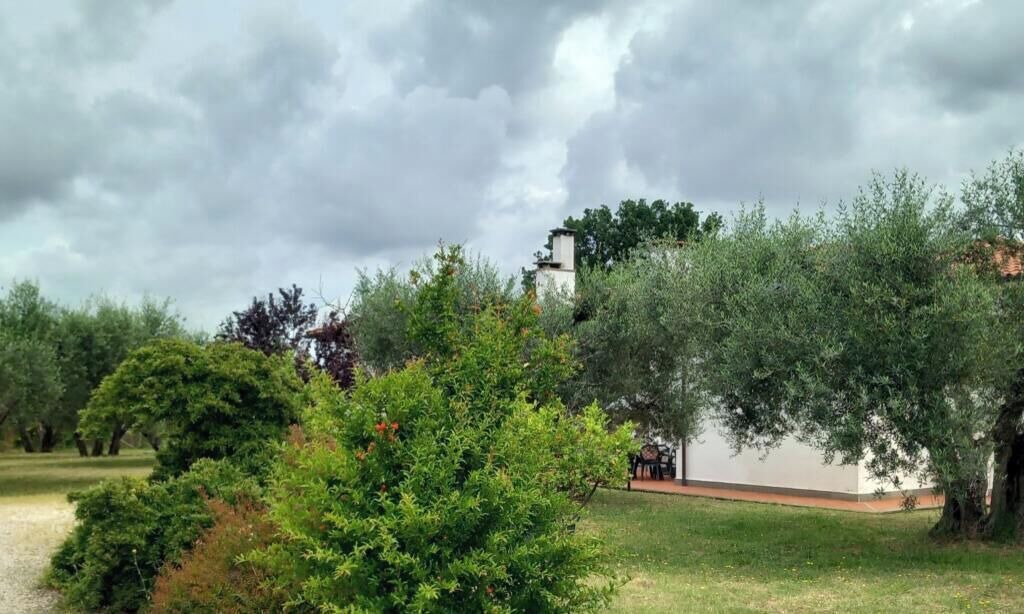 Photo of Outdoor in Vetralla