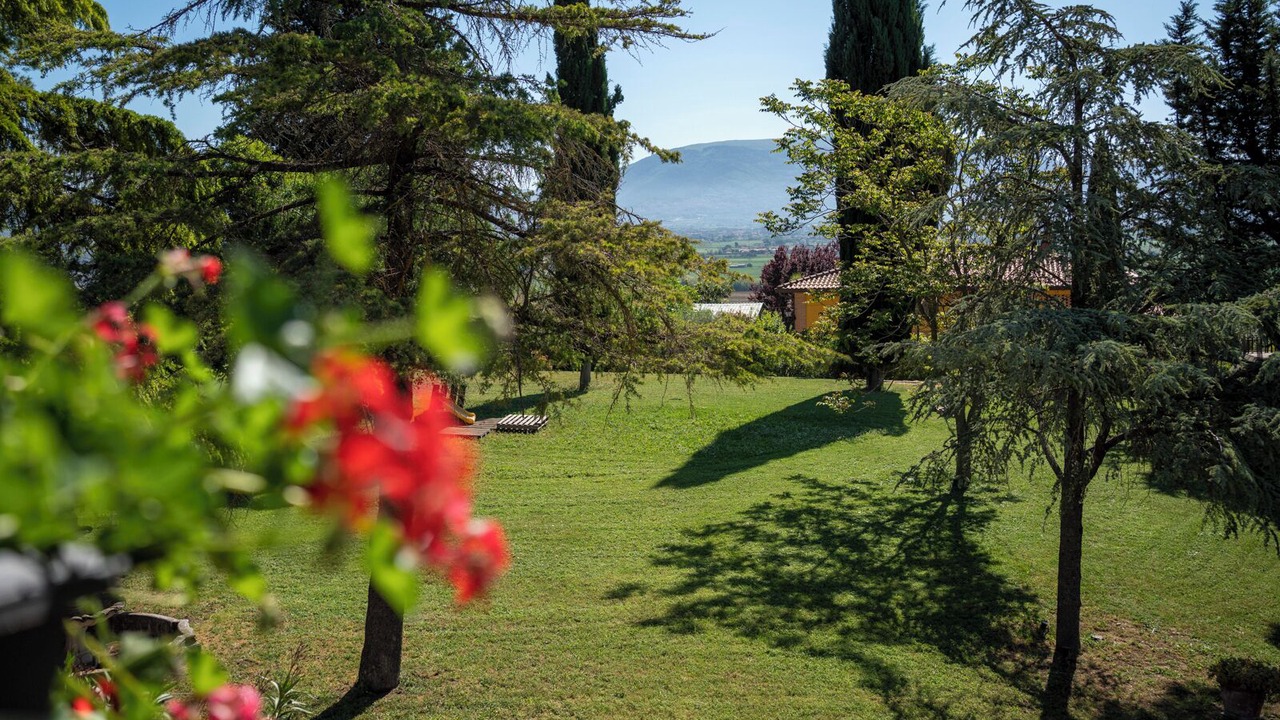 Photo of Outdoor in Torgiano