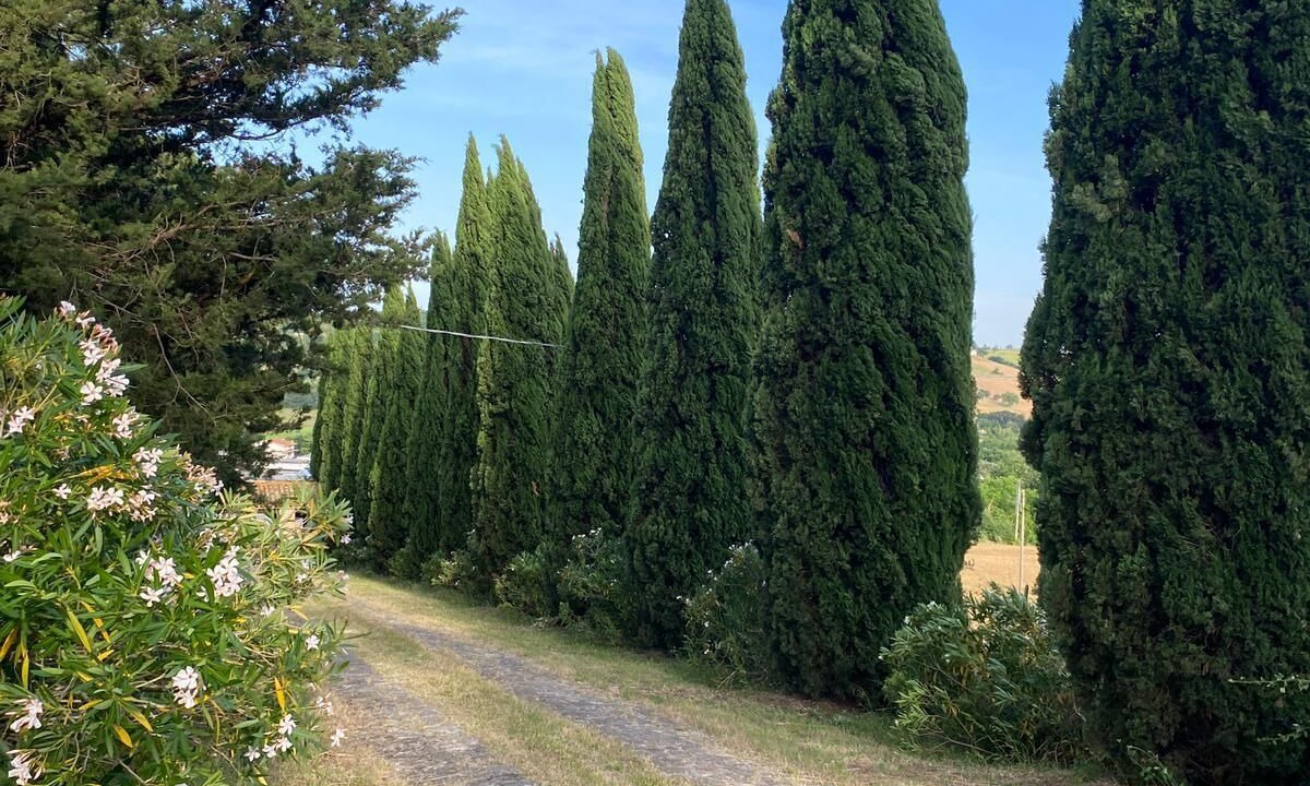 Photo of Others in Ostra Vetere