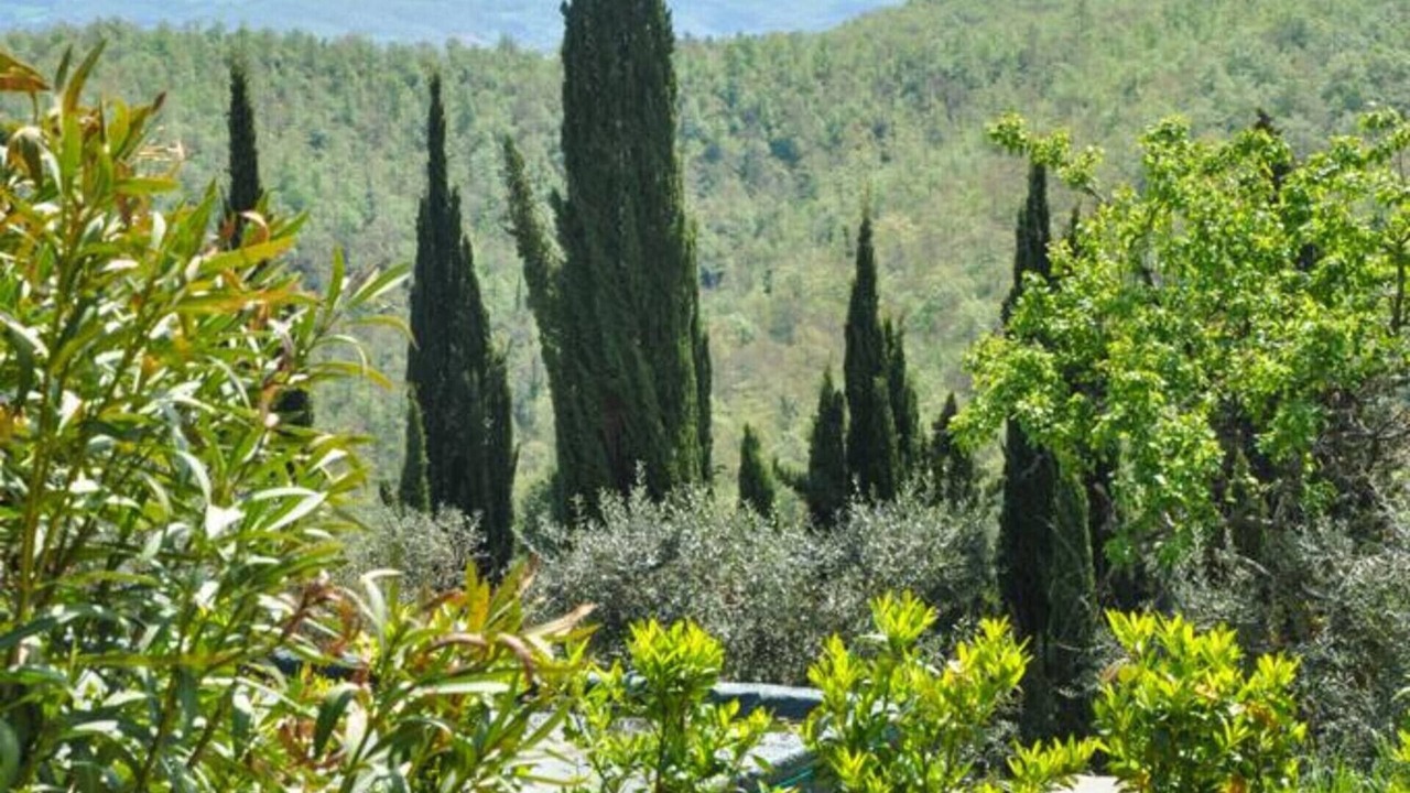 Photo of Outdoor in Santa Reparata