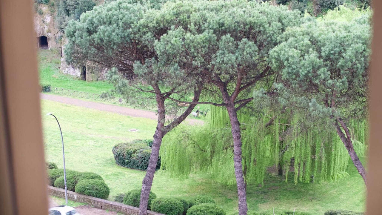 Photo of Others in Sutri