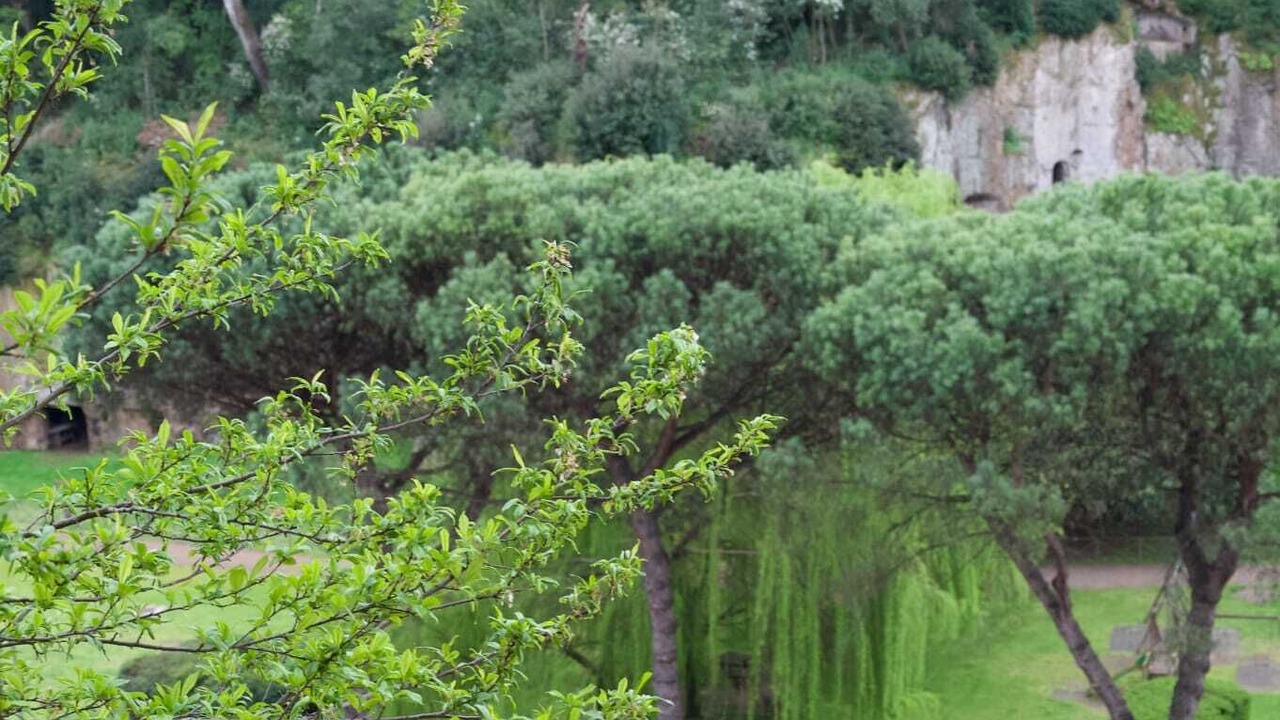 Photo of Outdoor in Sutri