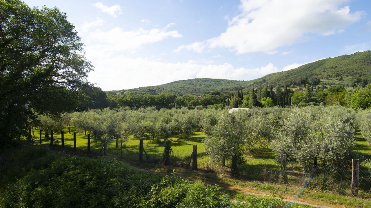 Photo of Others in Passignano sul Trasimeno