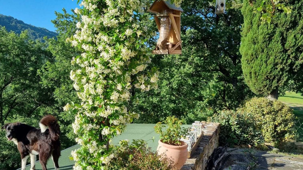 Photo of Outdoor in Citta di Castello