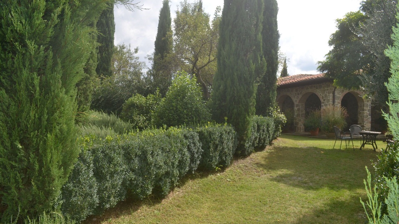 Photo of Outdoor in Montenero